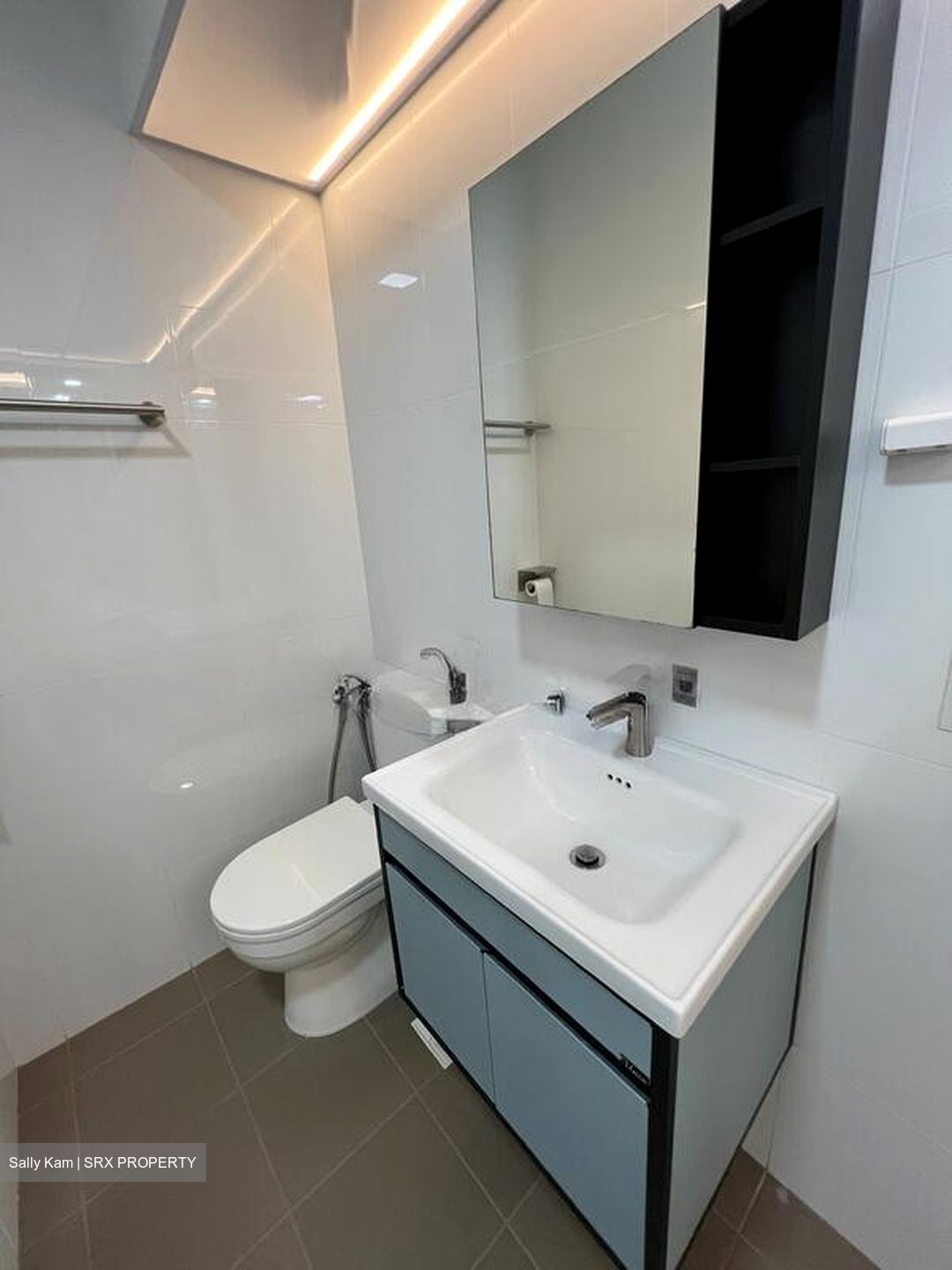 Blk 43 Skyoasis @ Dawson (Queenstown), HDB 4 Rooms #518441001